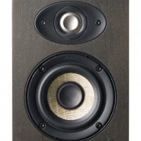 Focal Shape 40 ( Single )